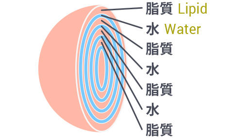 ラメラ粒子の模式図