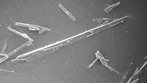 塩酸イリノテカン結晶の走査型電子顕微鏡写真