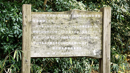 B-2_P02.jpg