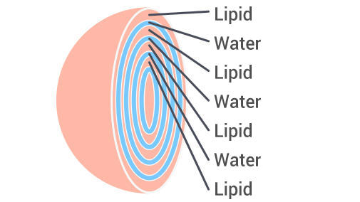 Lamellar-structured lipid