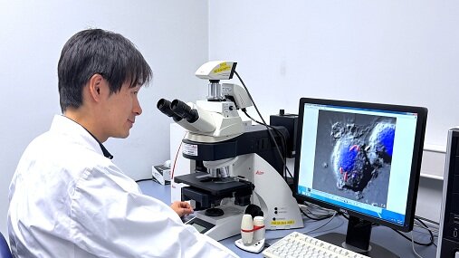 免疫細胞による細菌の貪食作用の顕微鏡観察
