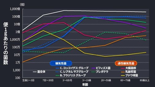 年代毎の腸内フローラの差異