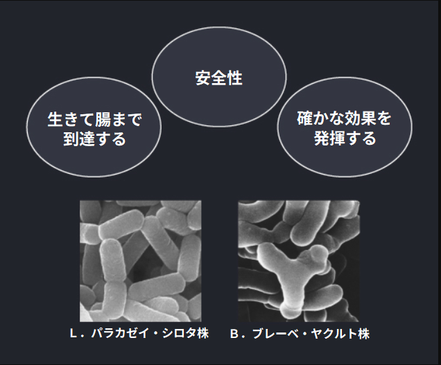 医師が選んだプロバイオティクス