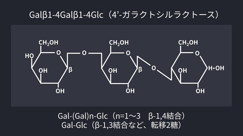 ガラクトオリゴ糖の主要成分の構造式