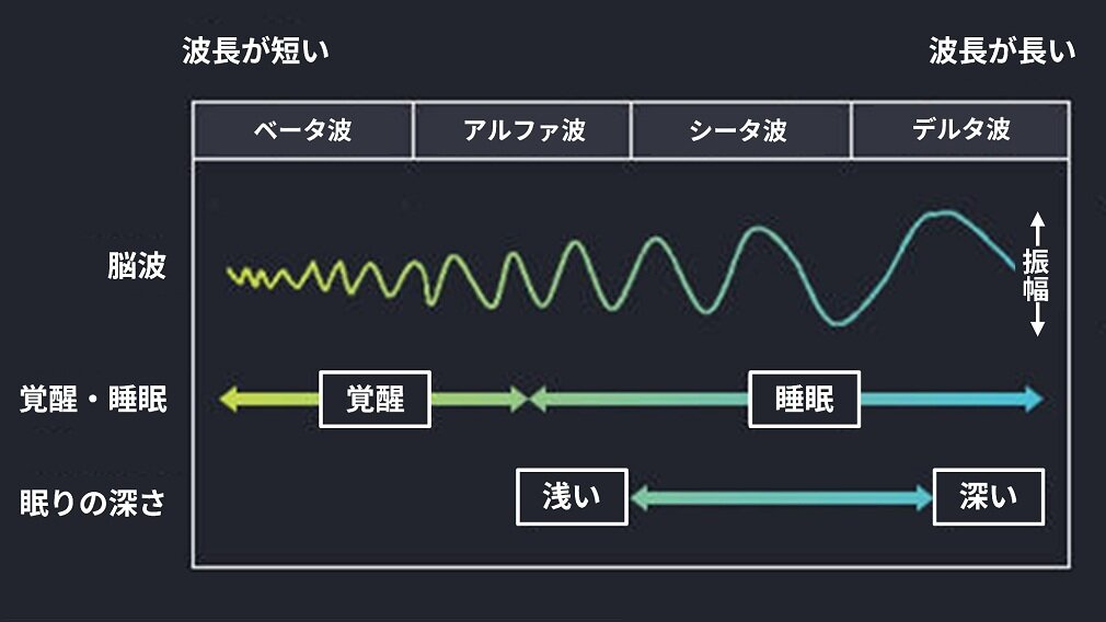 主な脳波の種類と睡眠の関係の図