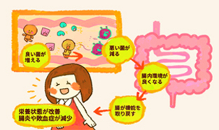 健腸長寿⑧:プロバイオティクスの臨床応用(後編)