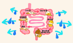 健腸長寿②:健康の要、「腸」