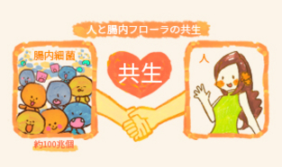 健腸長寿④:私たちと腸内フローラの共生