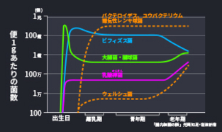 健腸長寿⑤:腸内フローラのバランスをくずす要因