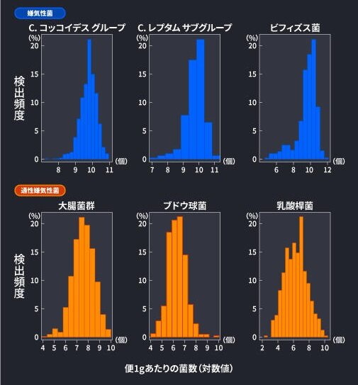 3才以上の健常日本人における主な細菌群の分布のグラフ