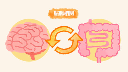 脳と腸（脳腸相関）