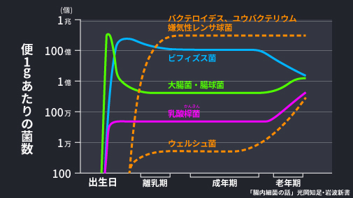 健腸長寿 腸内フローラのバランスをくずす要因 特集コンテンツ ヤクルト中央研究所