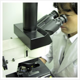 Reflected Fluorescence Microscope